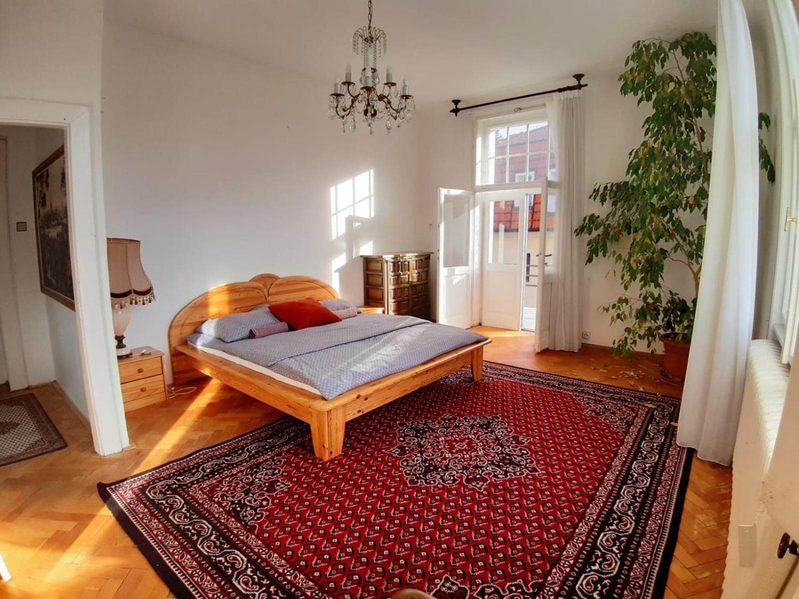 Rooms in Prague-BIG+Comfy Studio Apartment