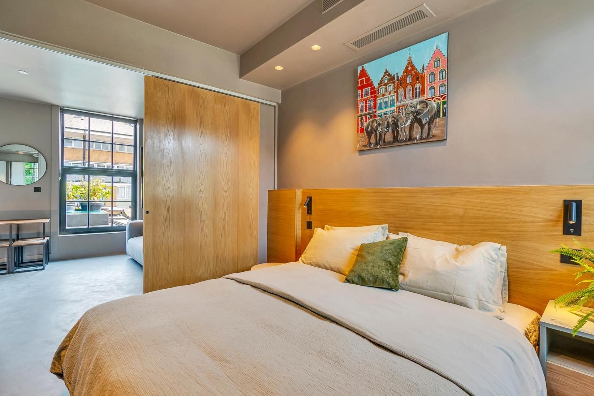 Deluxe One-Bedroom Apartment