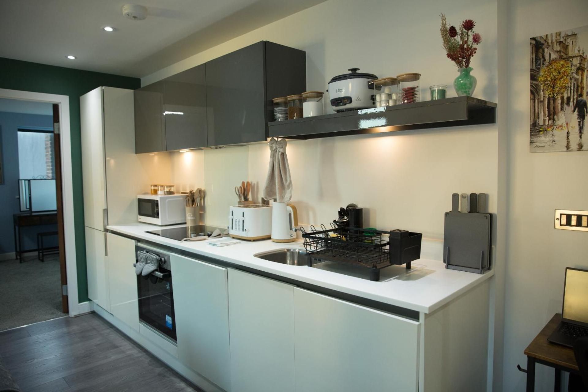 Deluxe One-Bedroom Apartment with City View