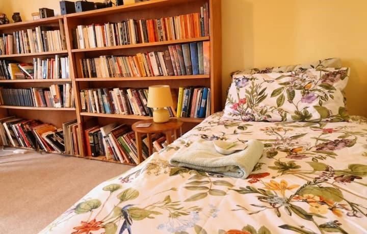 Single Room with Mountain View