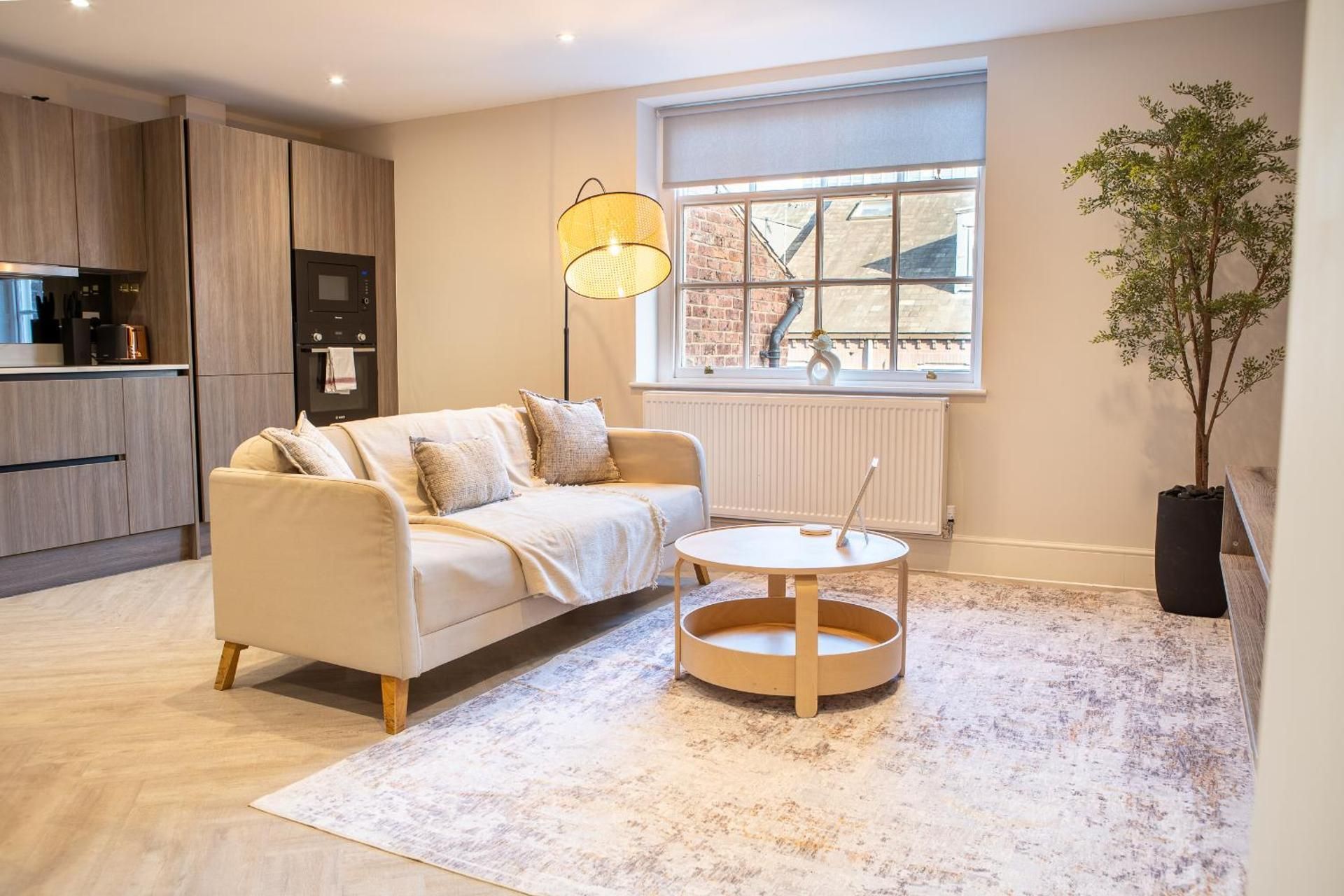Deluxe One-Bedroom Apartment