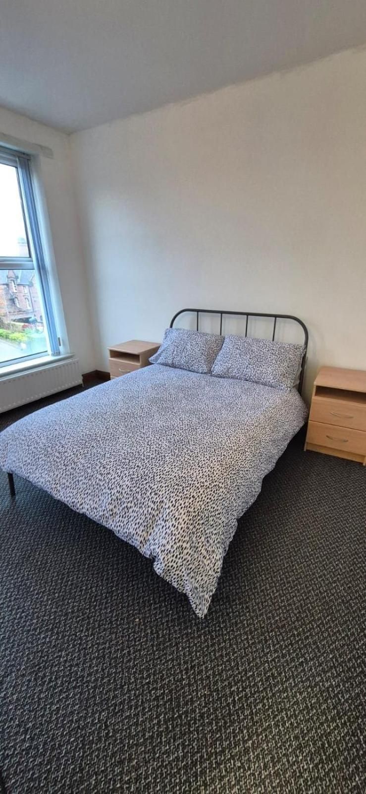 Private Room in Eglantine Avenue in Central Belfast