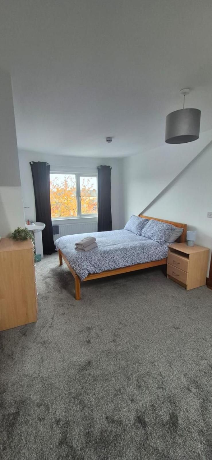 Private Room in Eglantine Avenue in Central Belfast