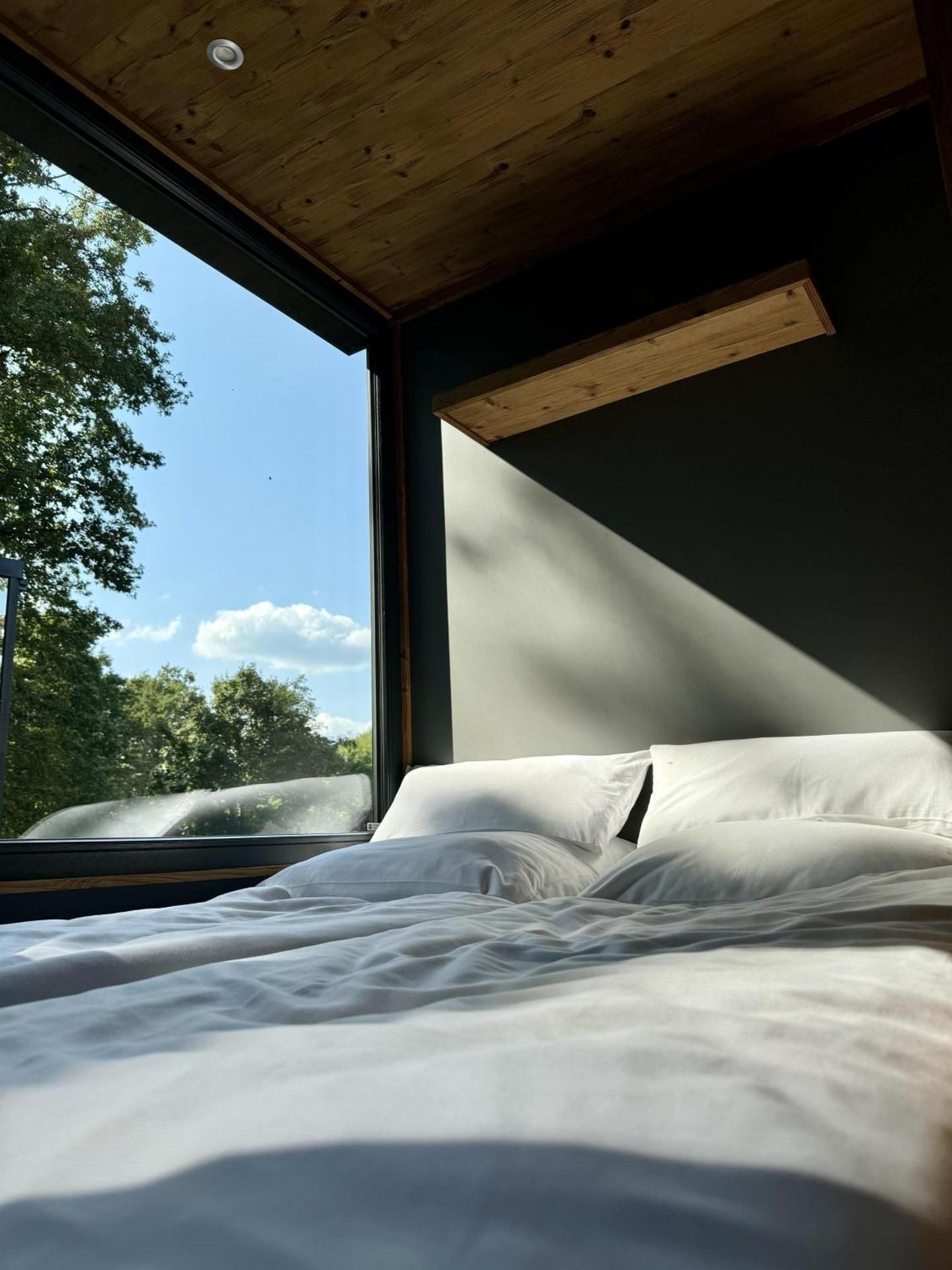 Suite with Sauna