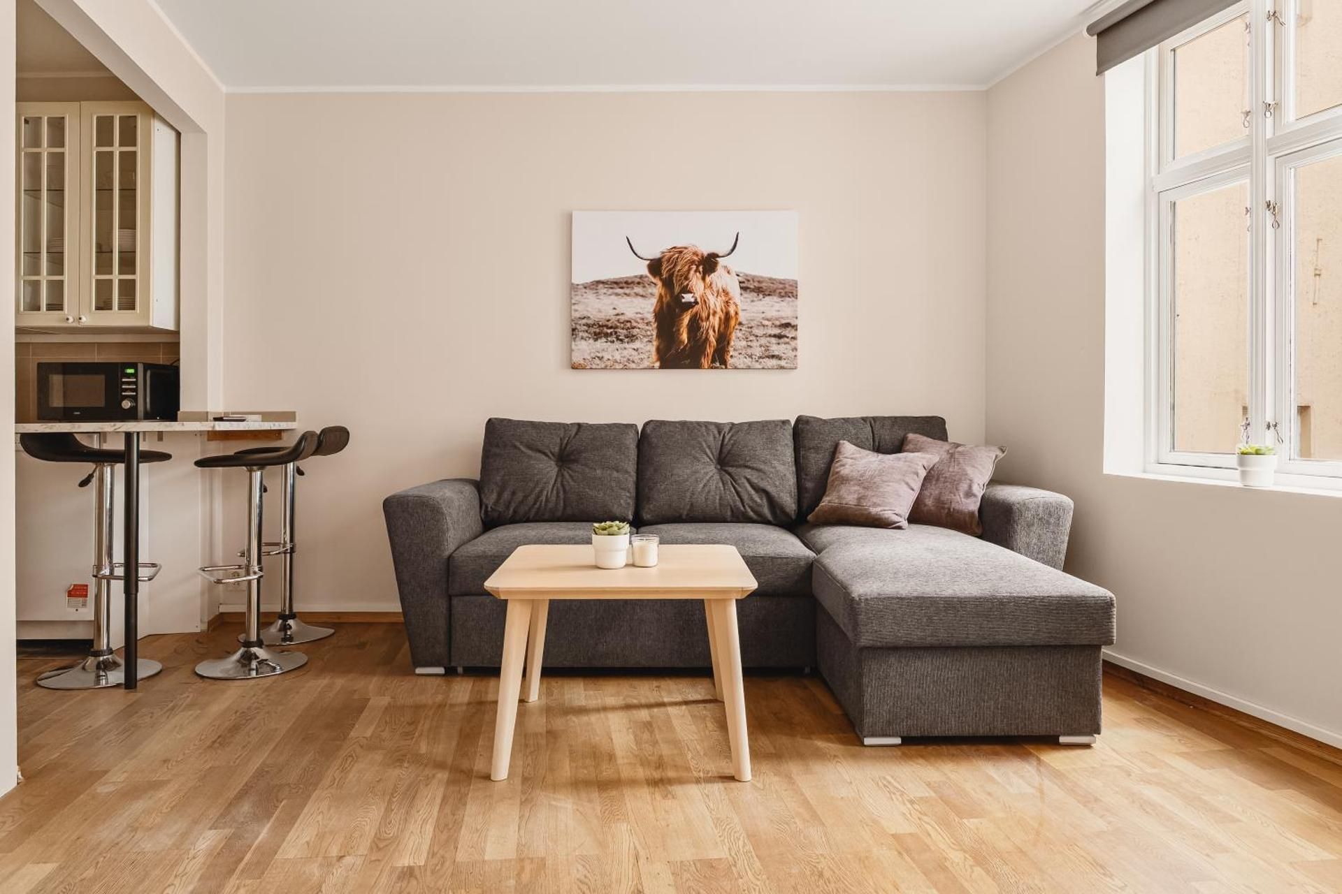 One-Bedroom Apartment