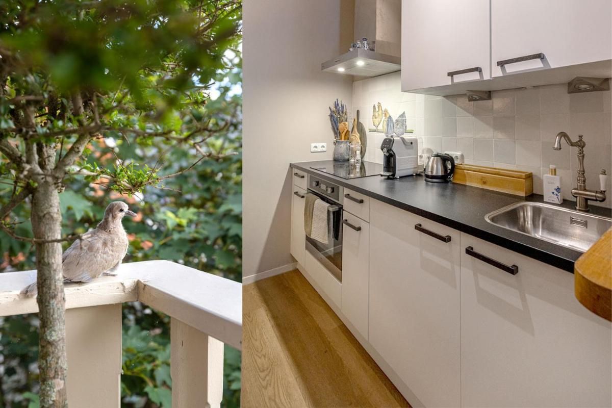 Deluxe Apartment with View and Balcony