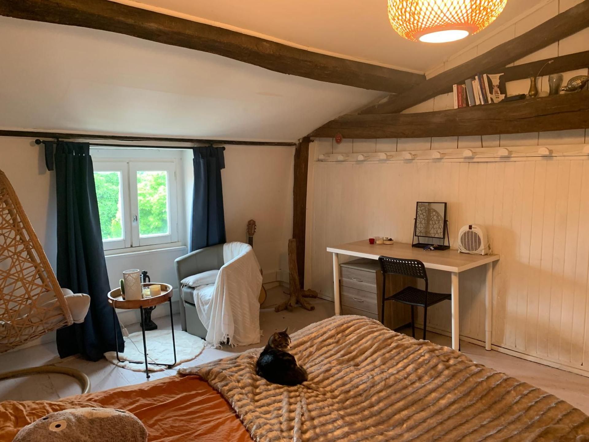 Basic Triple Room with Shared Bathroom