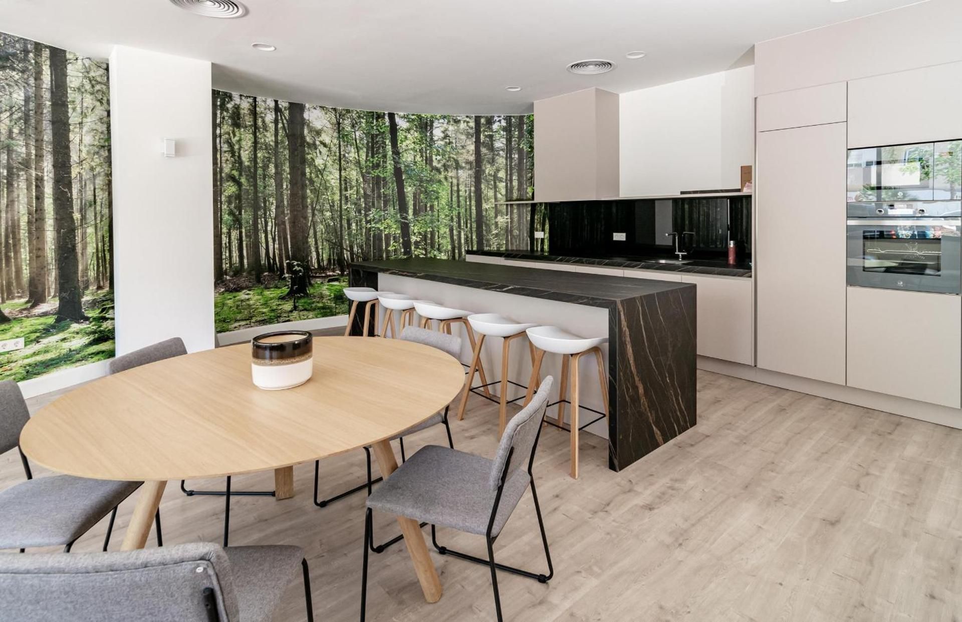 Apartment with Mountain View