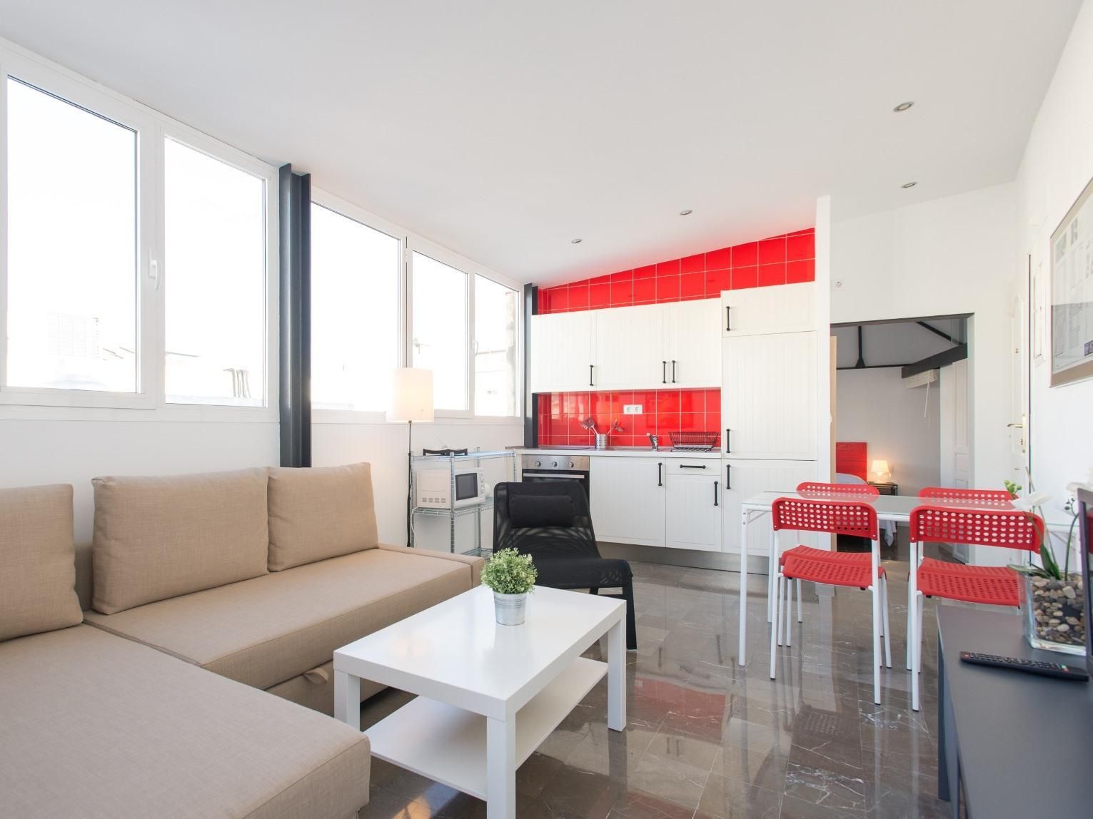 Apartment-Private Bathroom-Terrace-1 dormitorio