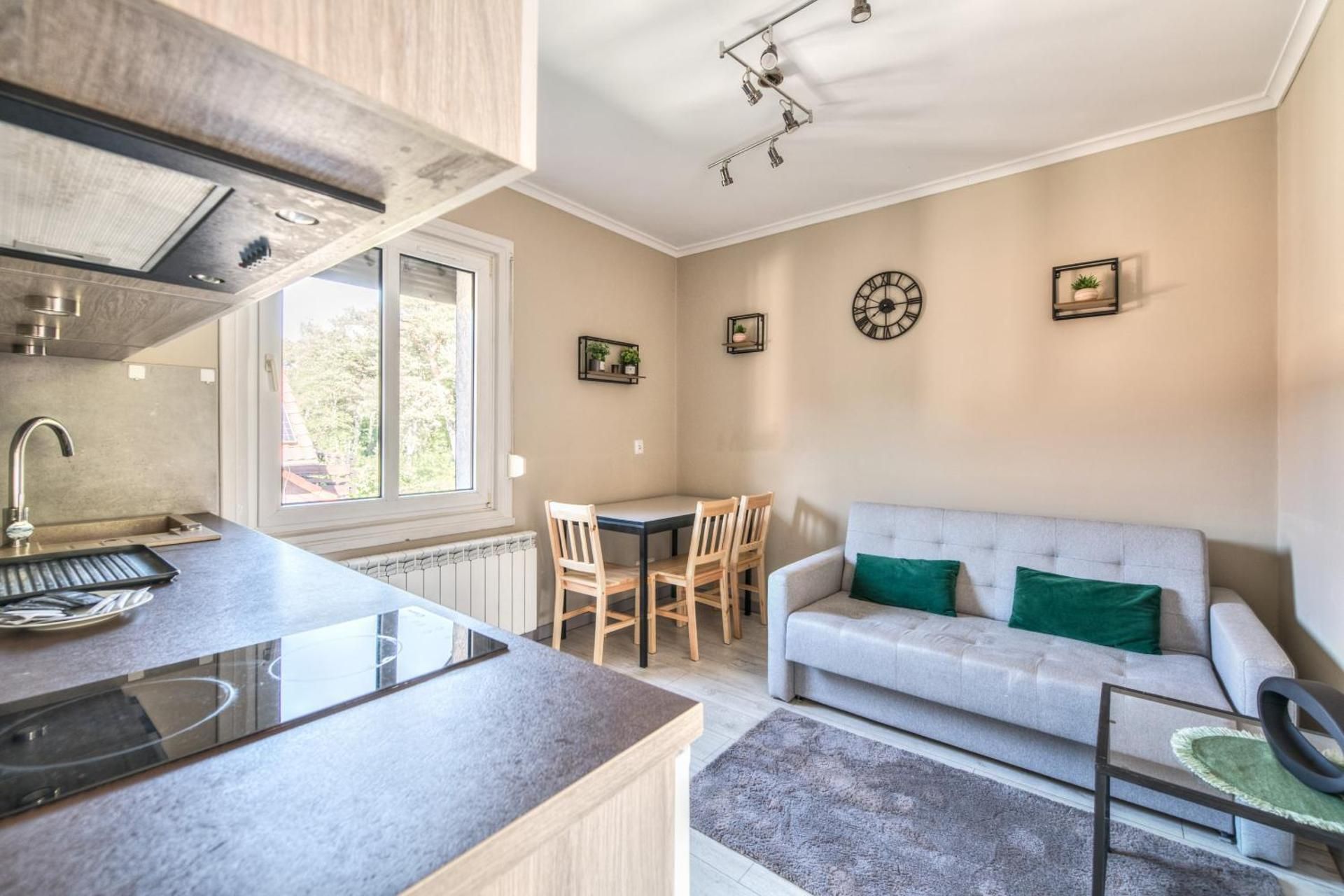 One-Bedroom Apartment with Balcony