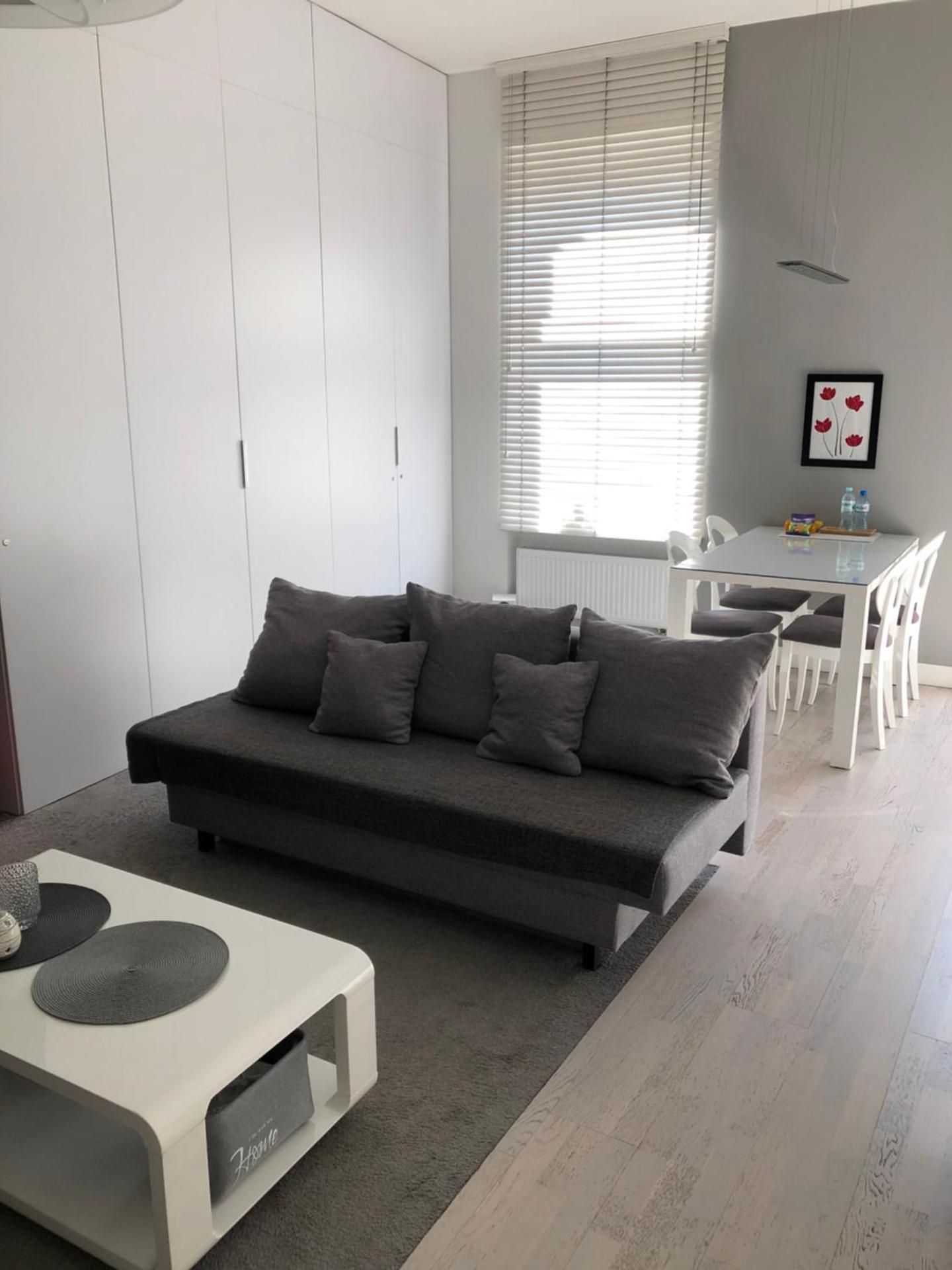 Studio Apartment with Fireplace and Balcony