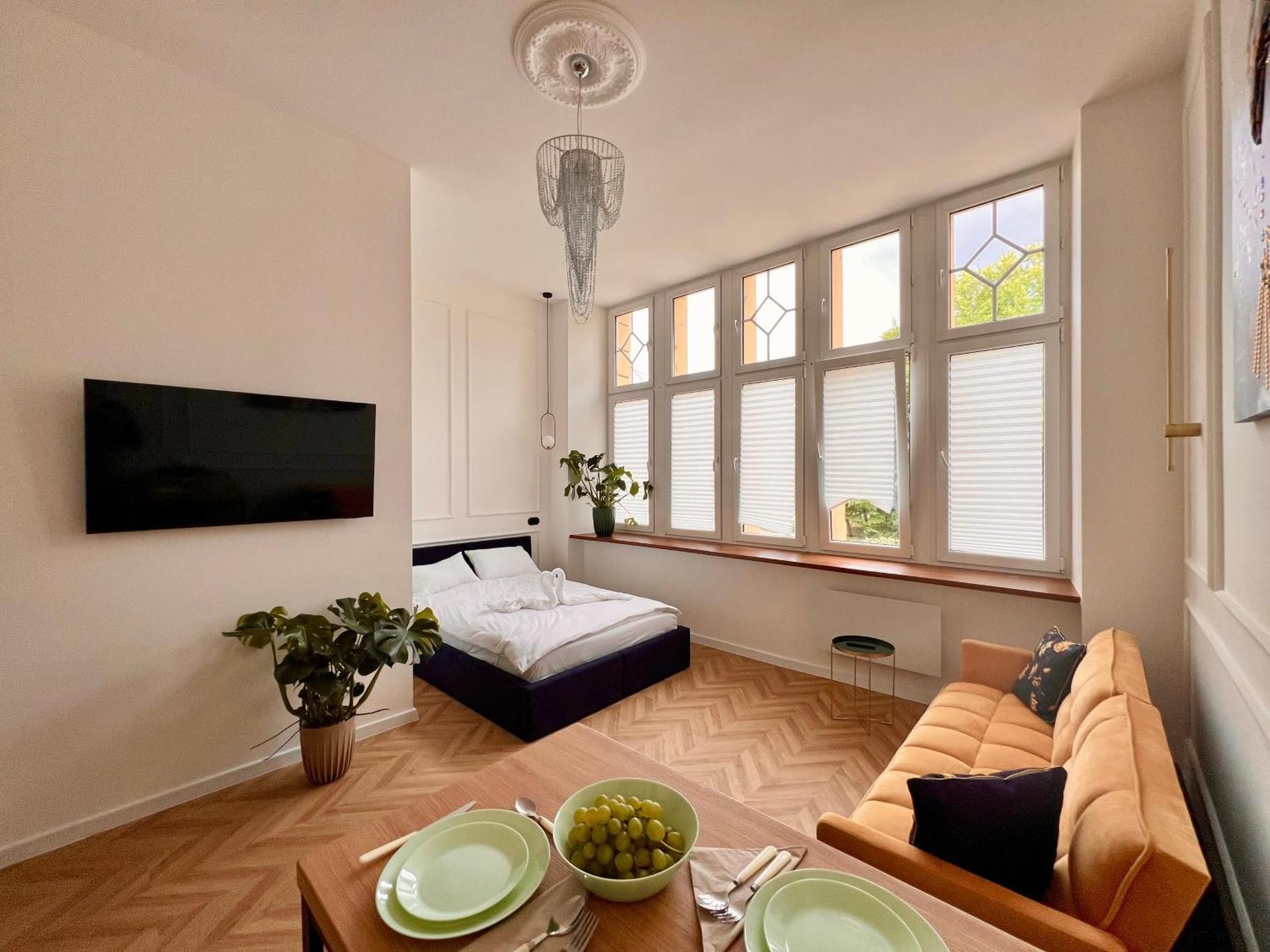 One-Bedroom Apartment with Park View