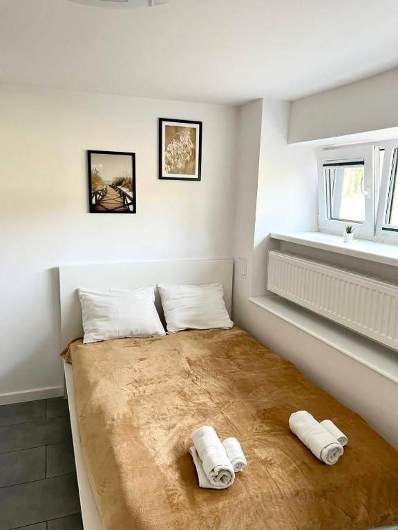 Single Room with Private Bathroom