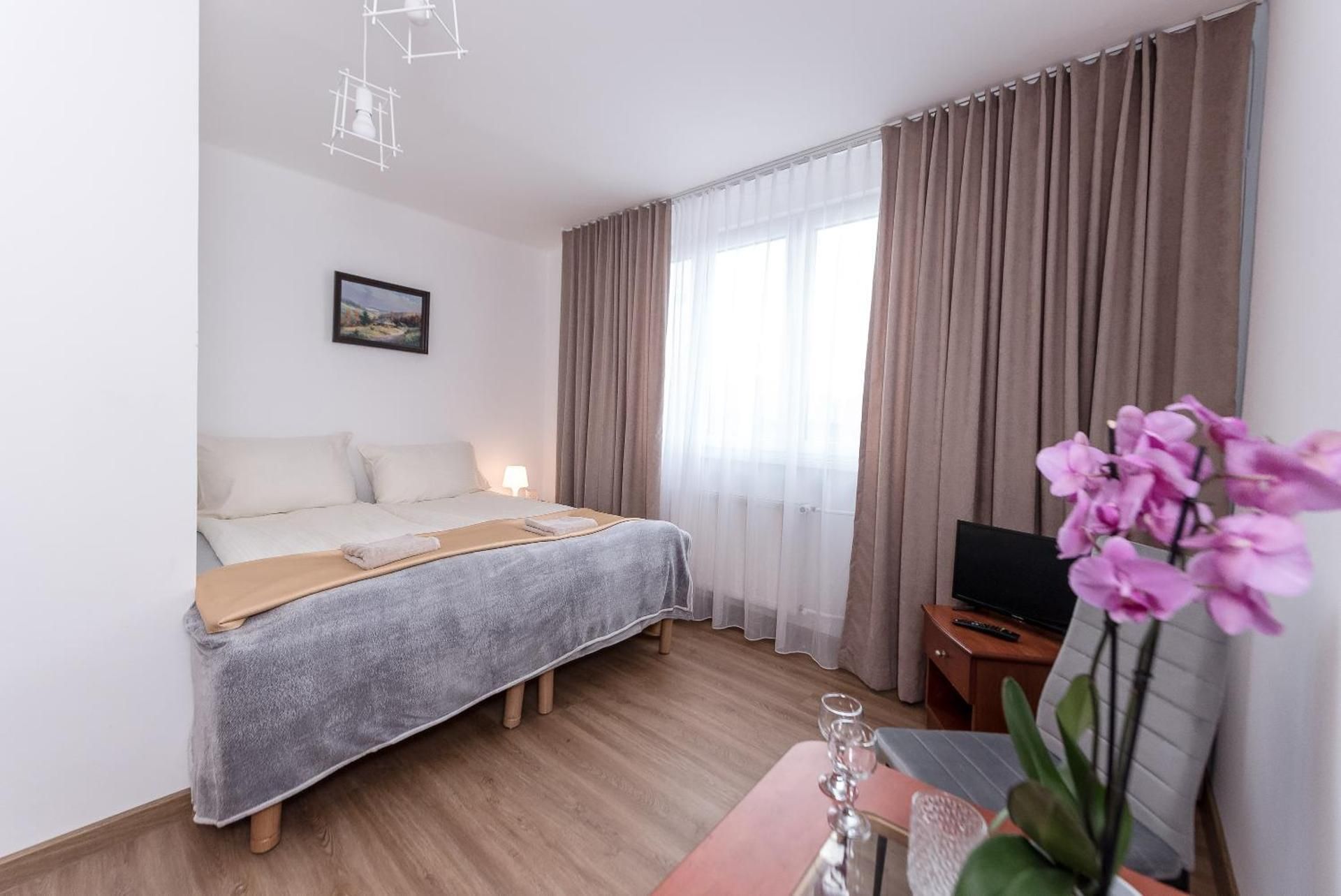 Superior Double or Twin Room with Mountain View