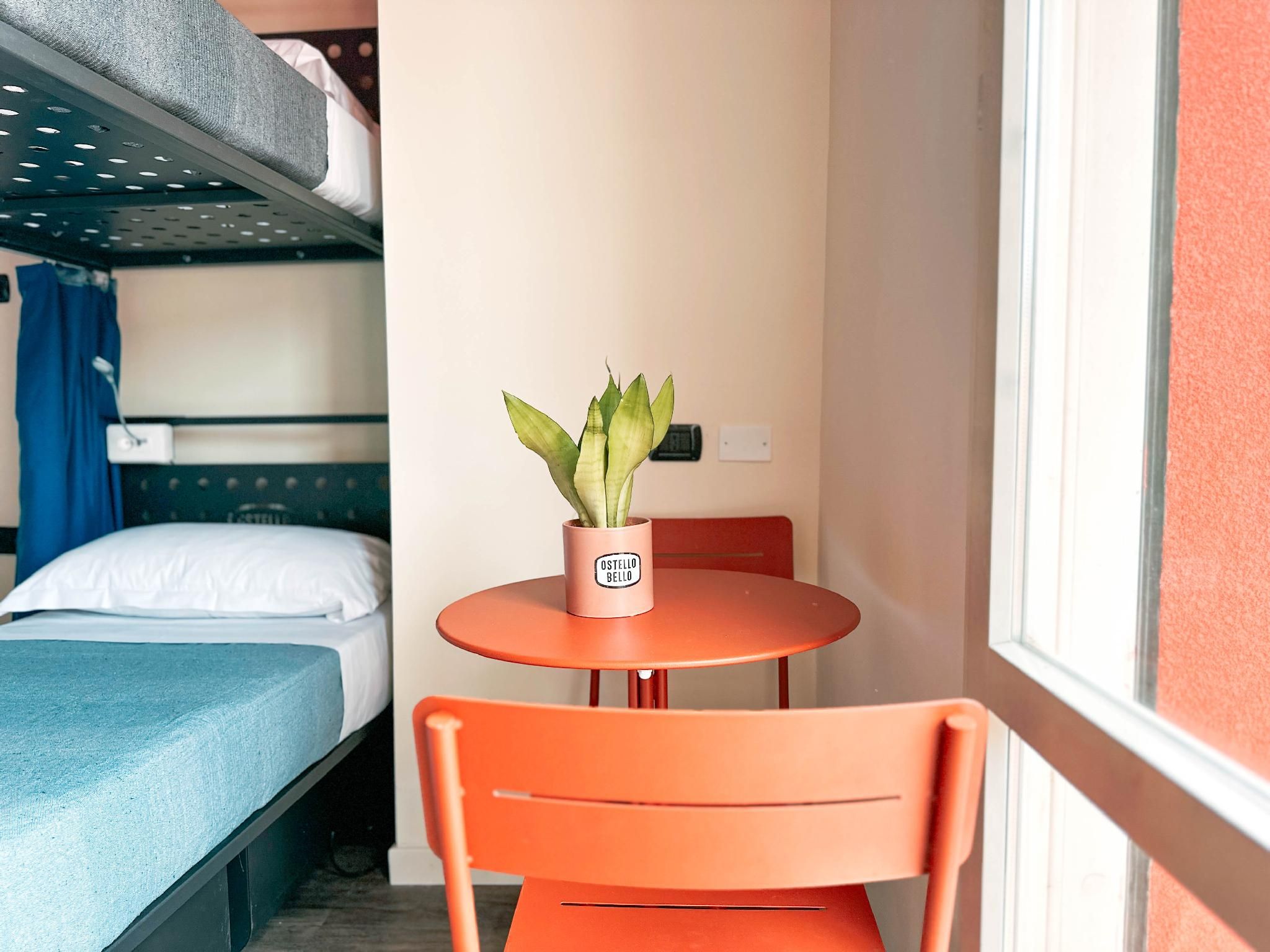 Mixed Dormitory Room
