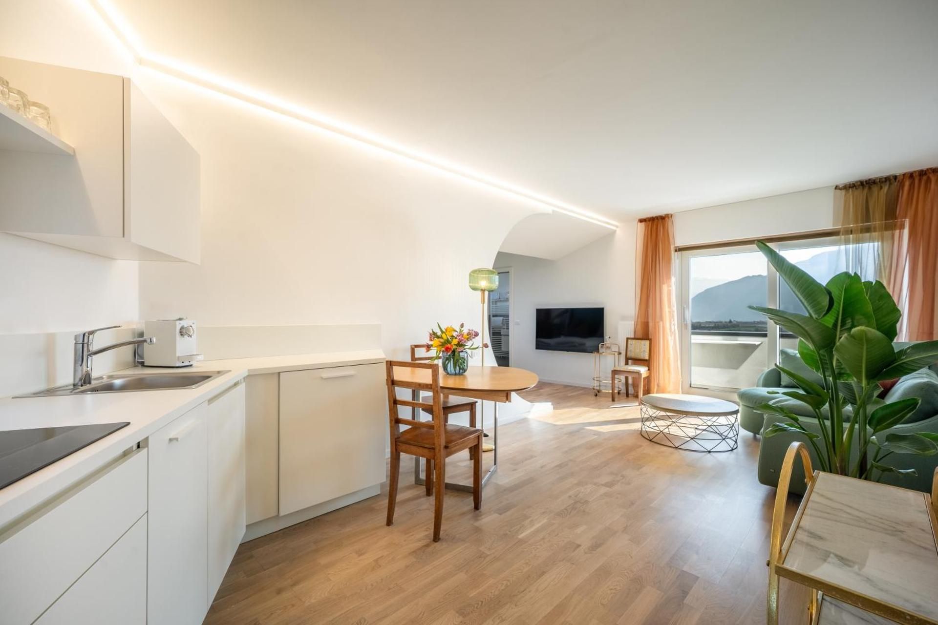 One-Bedroom Apartment with Balcony and Mountain View  