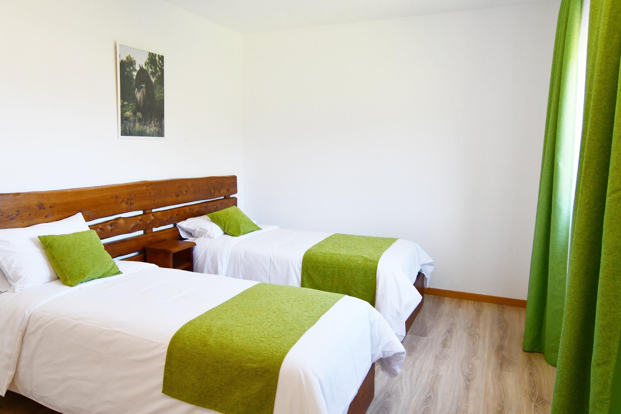 Standard Twin Room B