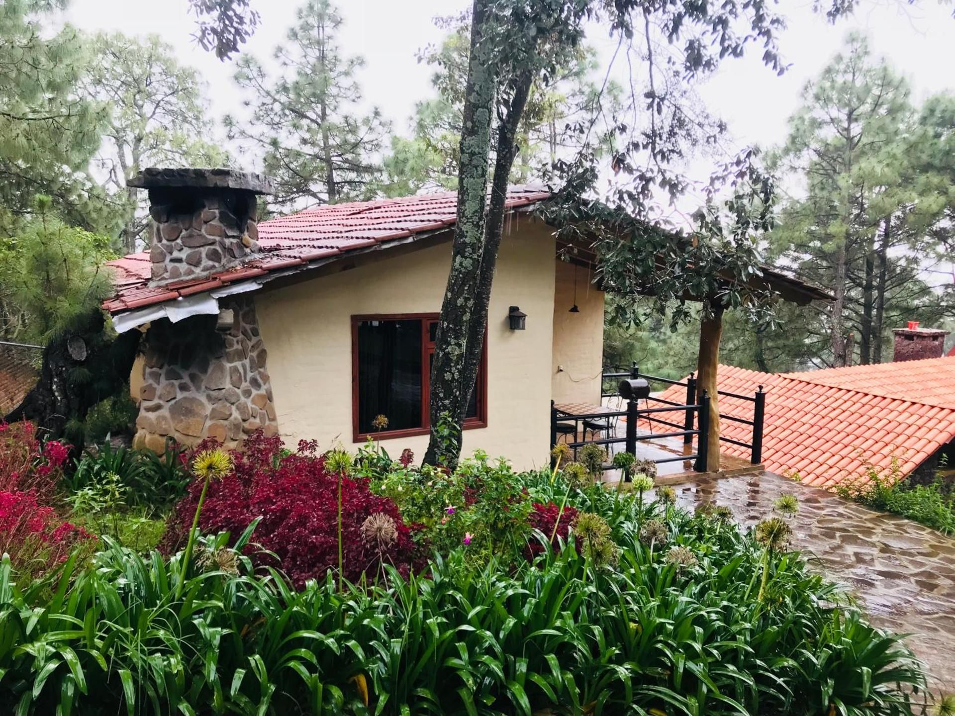 One-Bedroom Villa