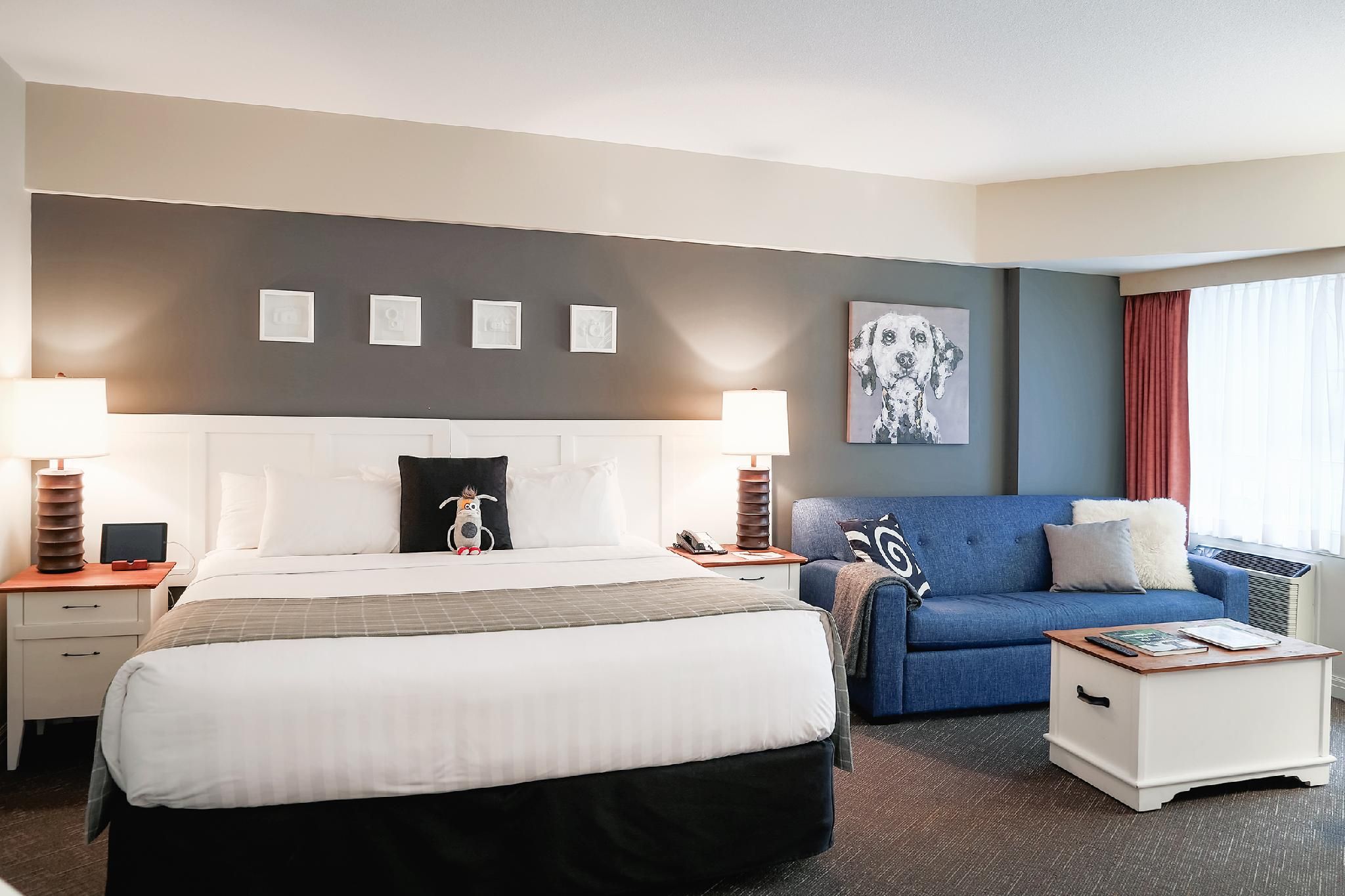 Executive King Suite
