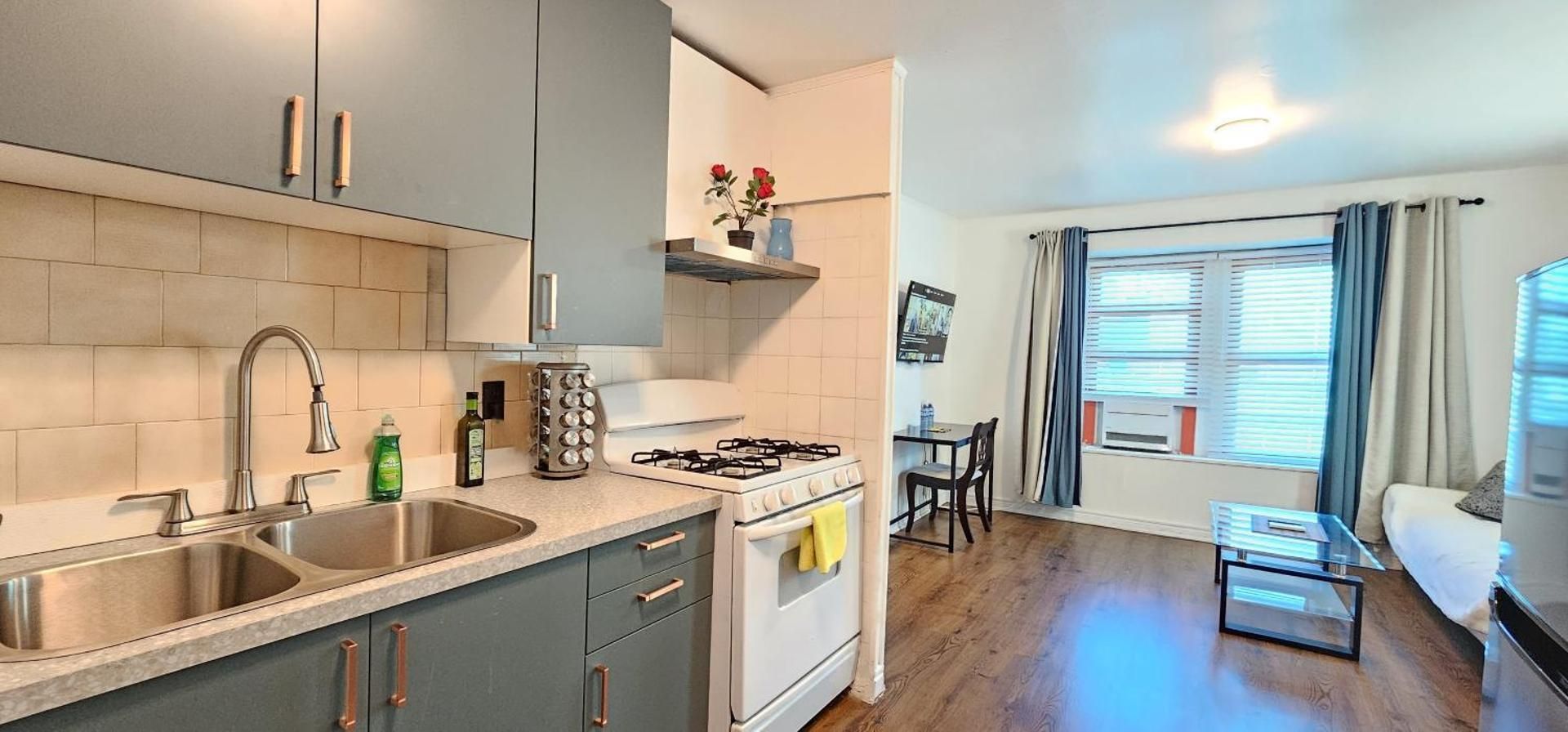One-Bedroom Apartment With City View