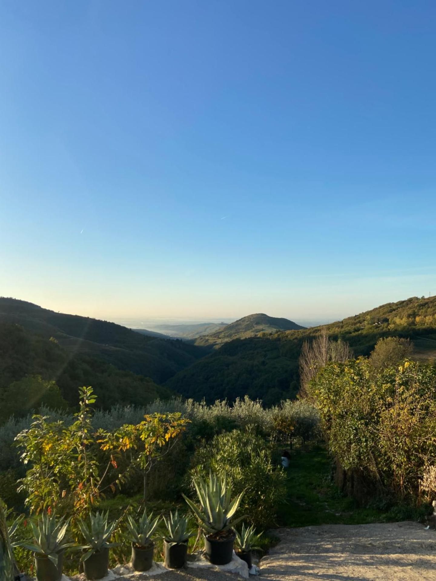 surrounding environment