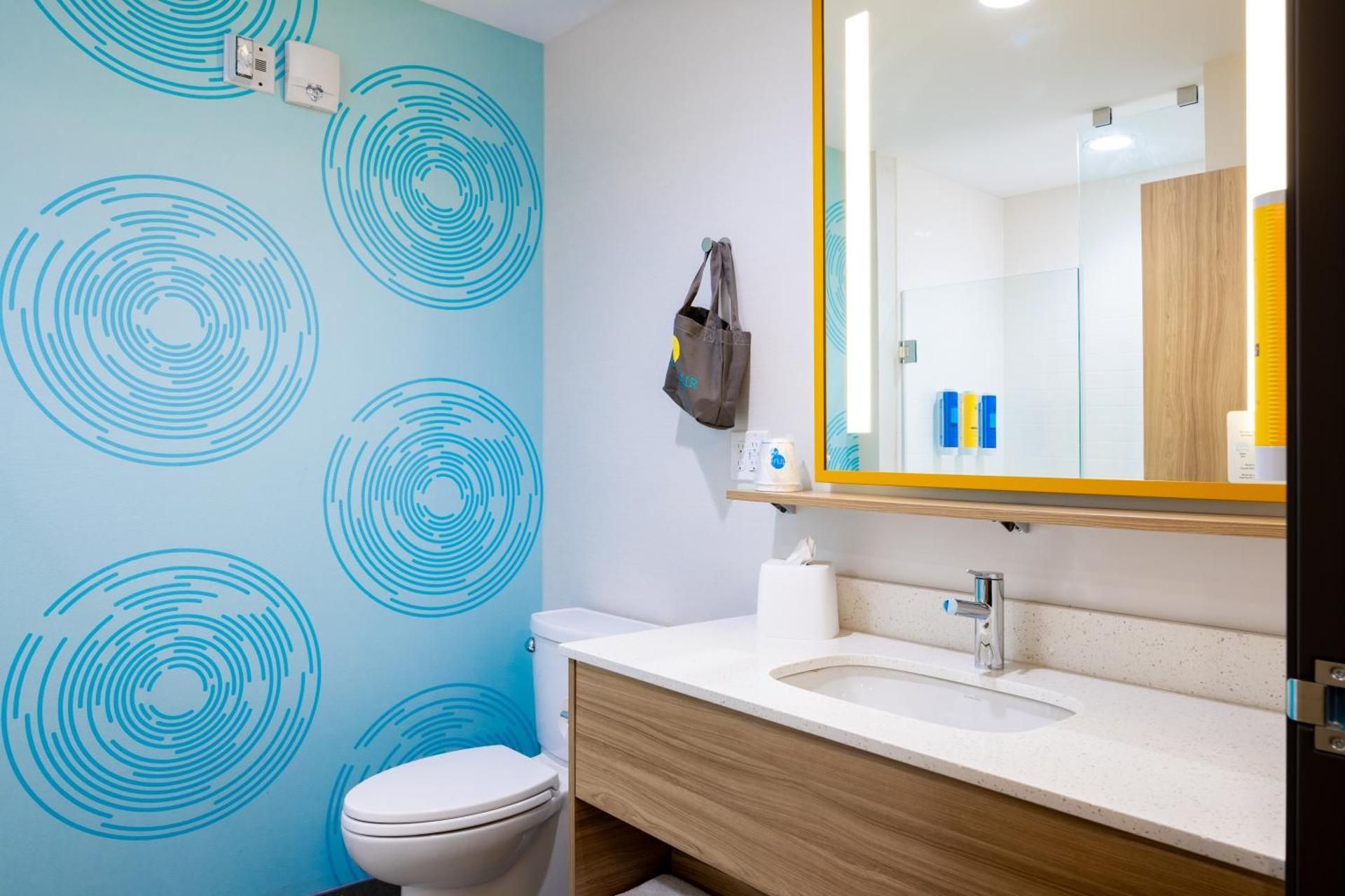 Tru by Hilton Kalamazoo 1 King Bed W/Walk in Shower 3