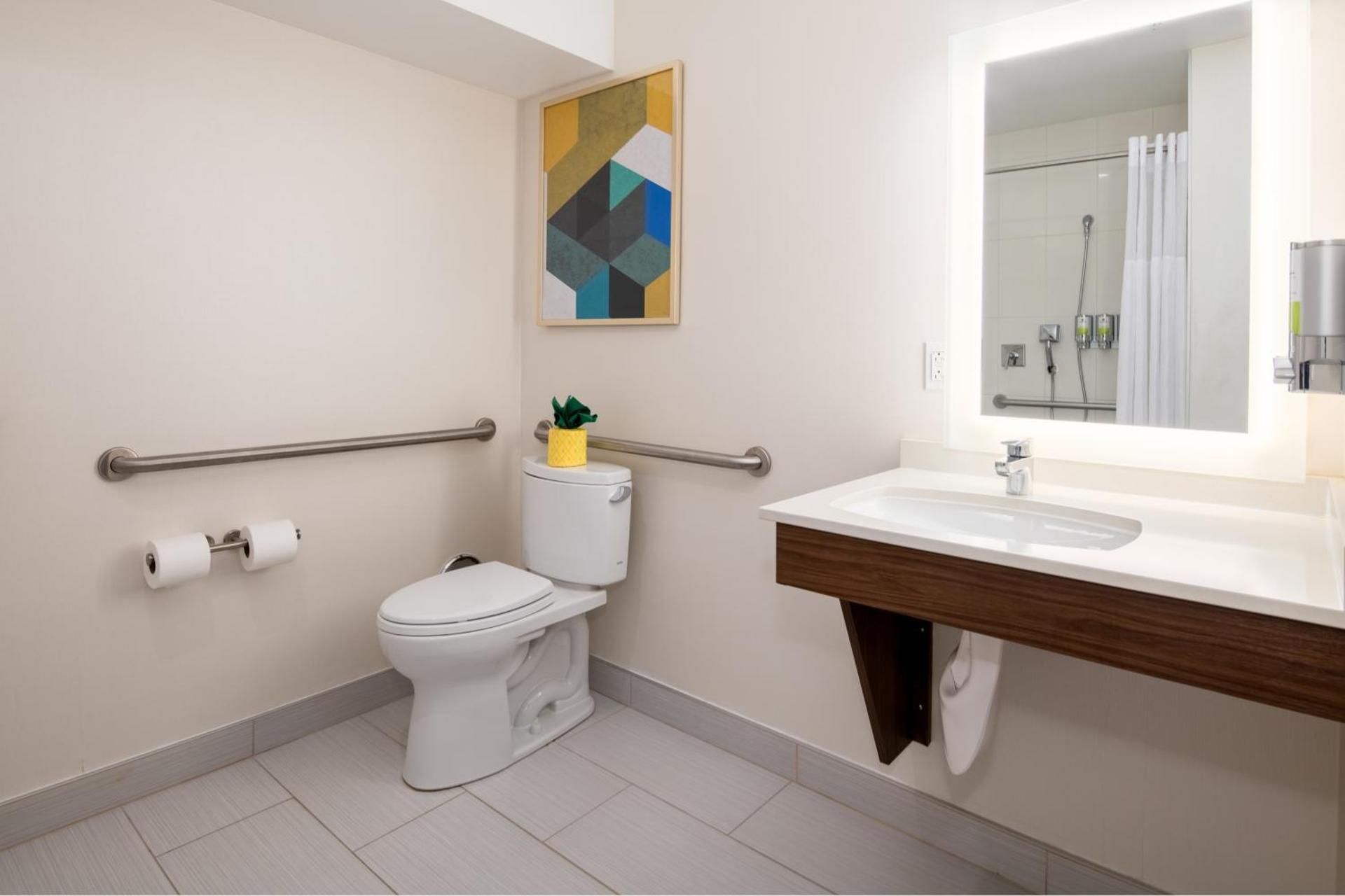 King Suite Accessible with Roll in Shower