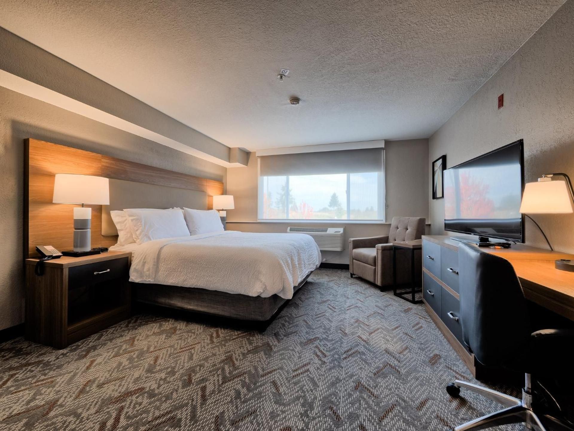 King Studio Suite