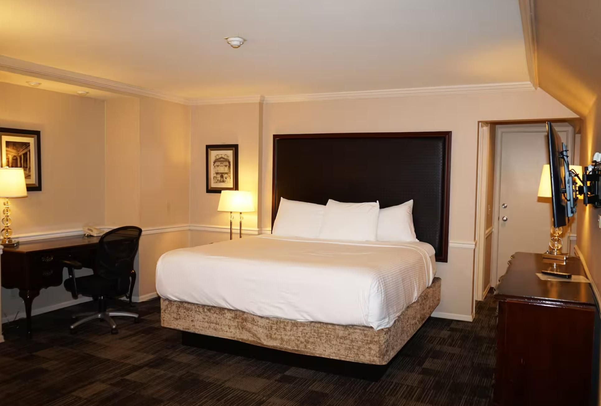 Single King Room