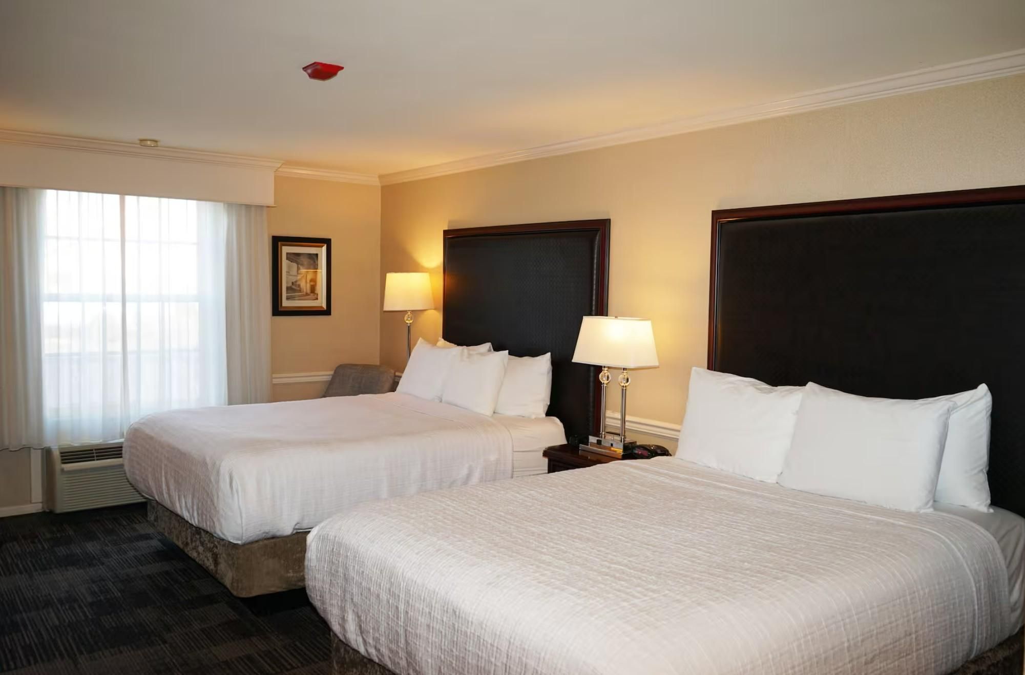 Two Queen Beds
