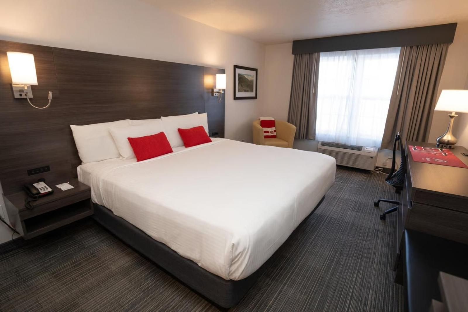 King Room