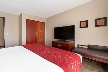 King Suite with Sofa Bed - Non-Smoking