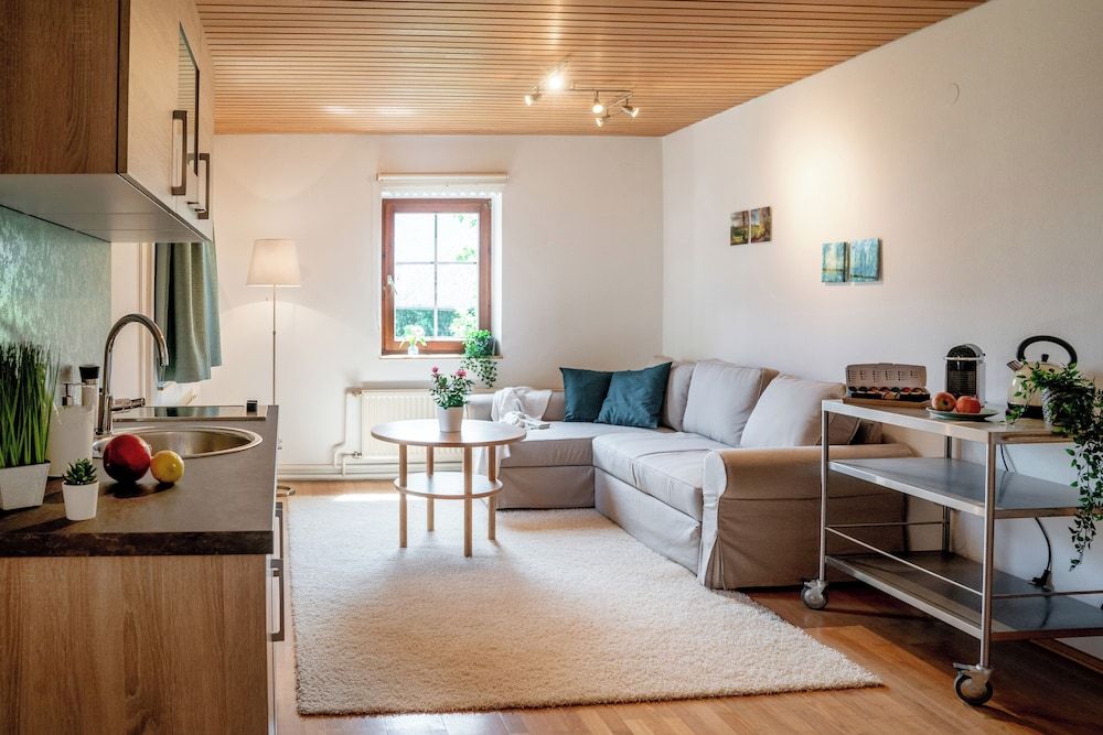 Lakeview Apartments Classic Apartment, Partial Lake View 11