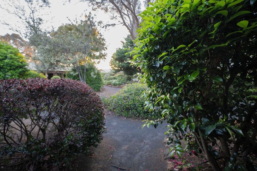 Margaret River Motel Standard Twin Room 5