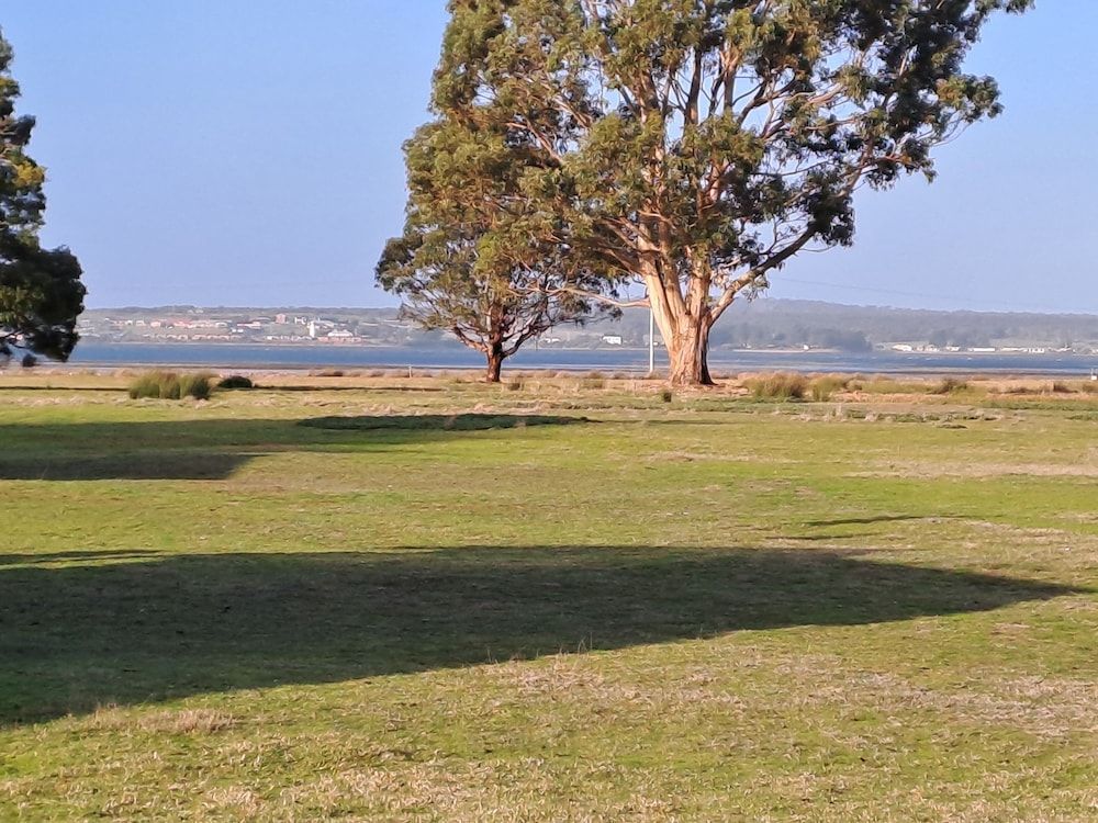 BIG4 Kelso Sands Holiday and Native Wildlife Park Classic Cabin, River View 10