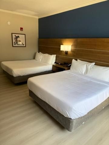 Quadruple Room with Two Queen Beds - Non Smoking