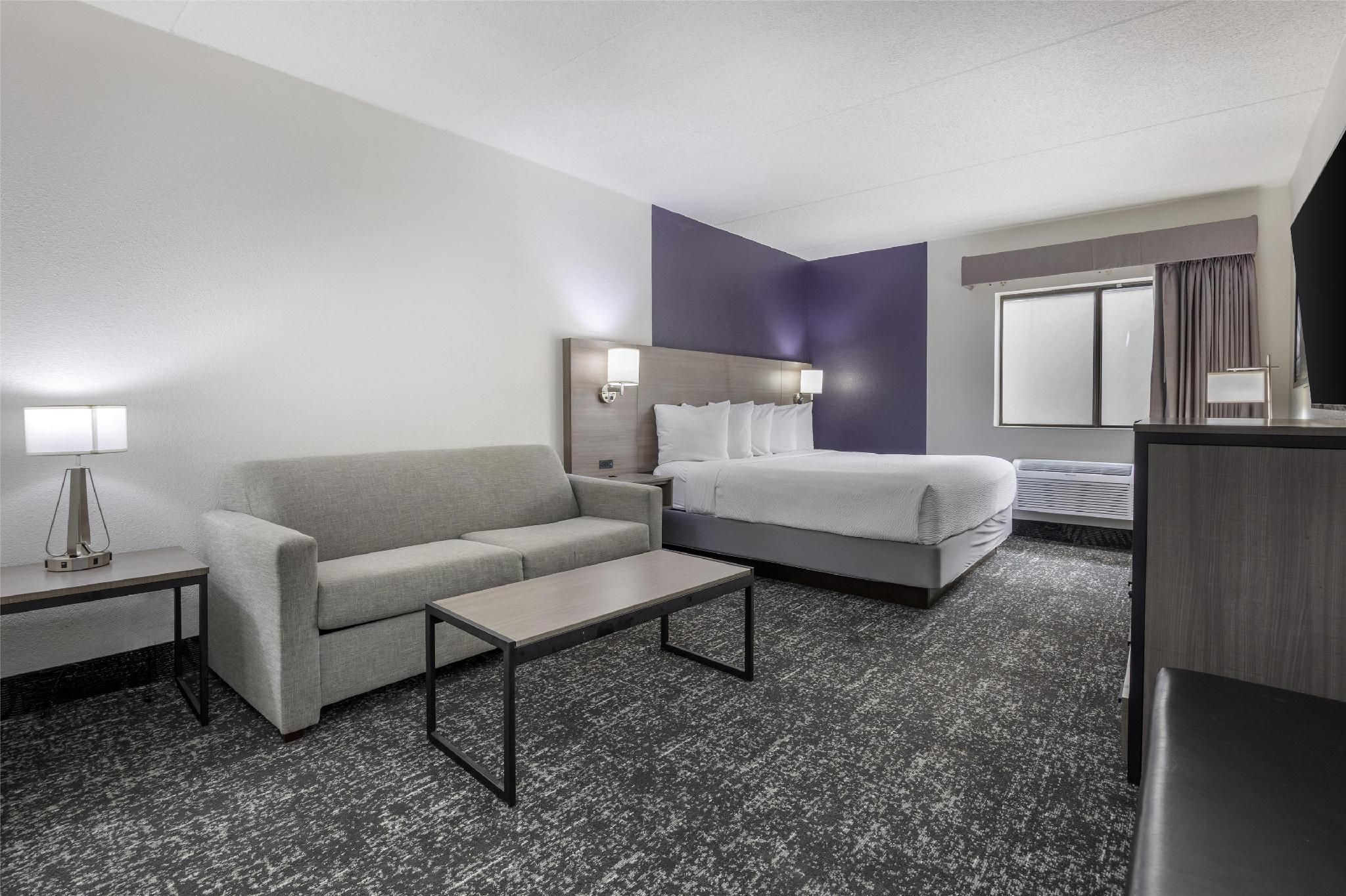 1 King Bed, Nonsmoking, Sofabed