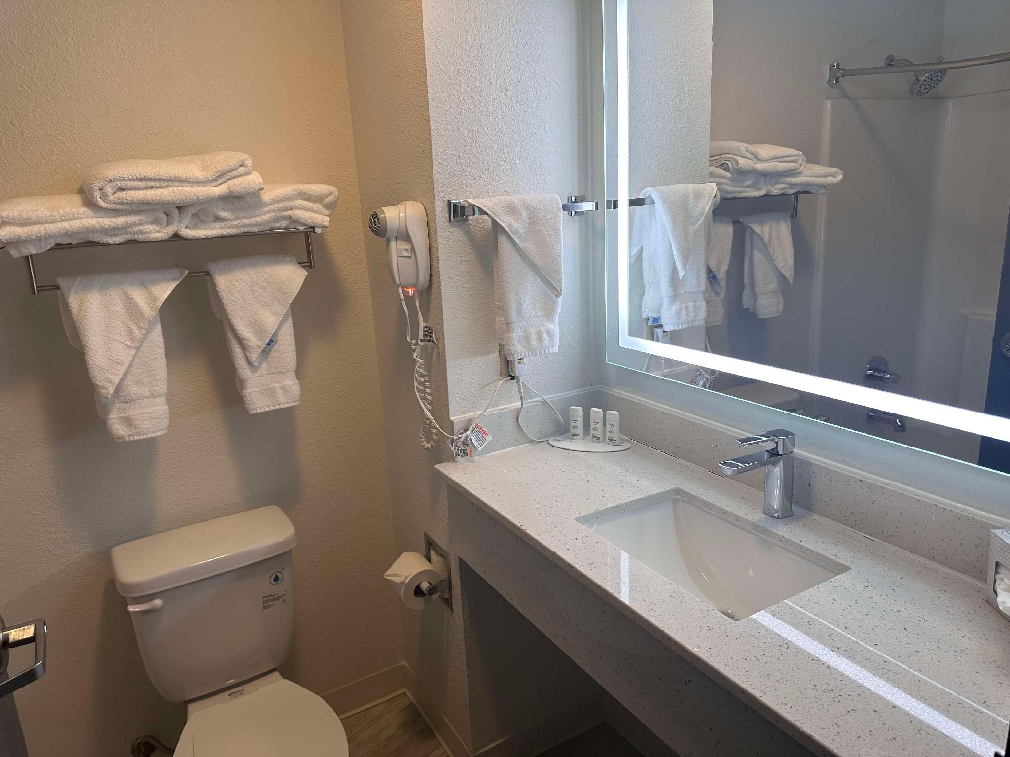 Accessibility - 1 King, Bathtub, Nonsmoking