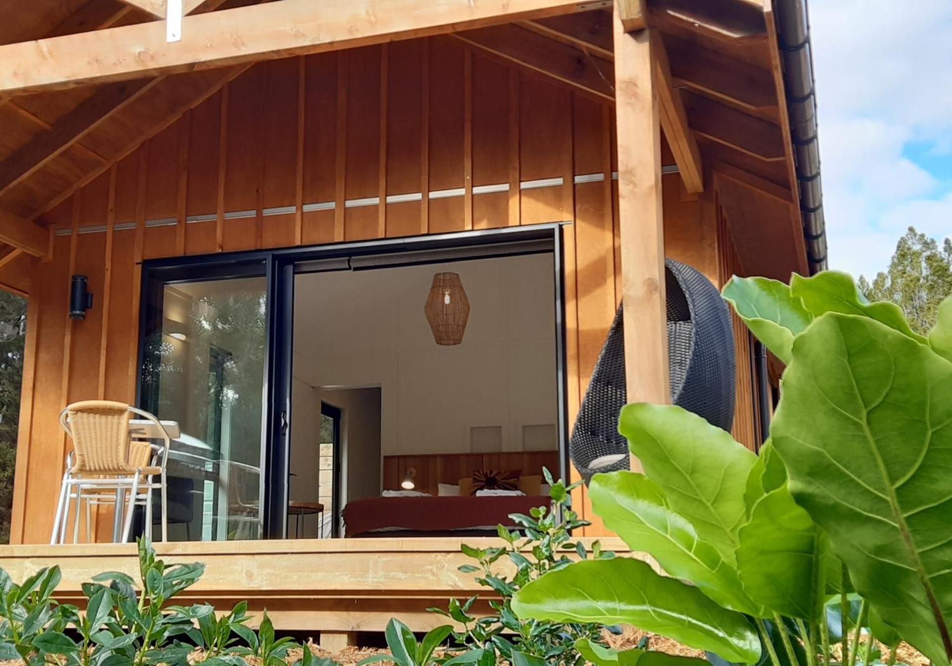 Deluxe King Studio
