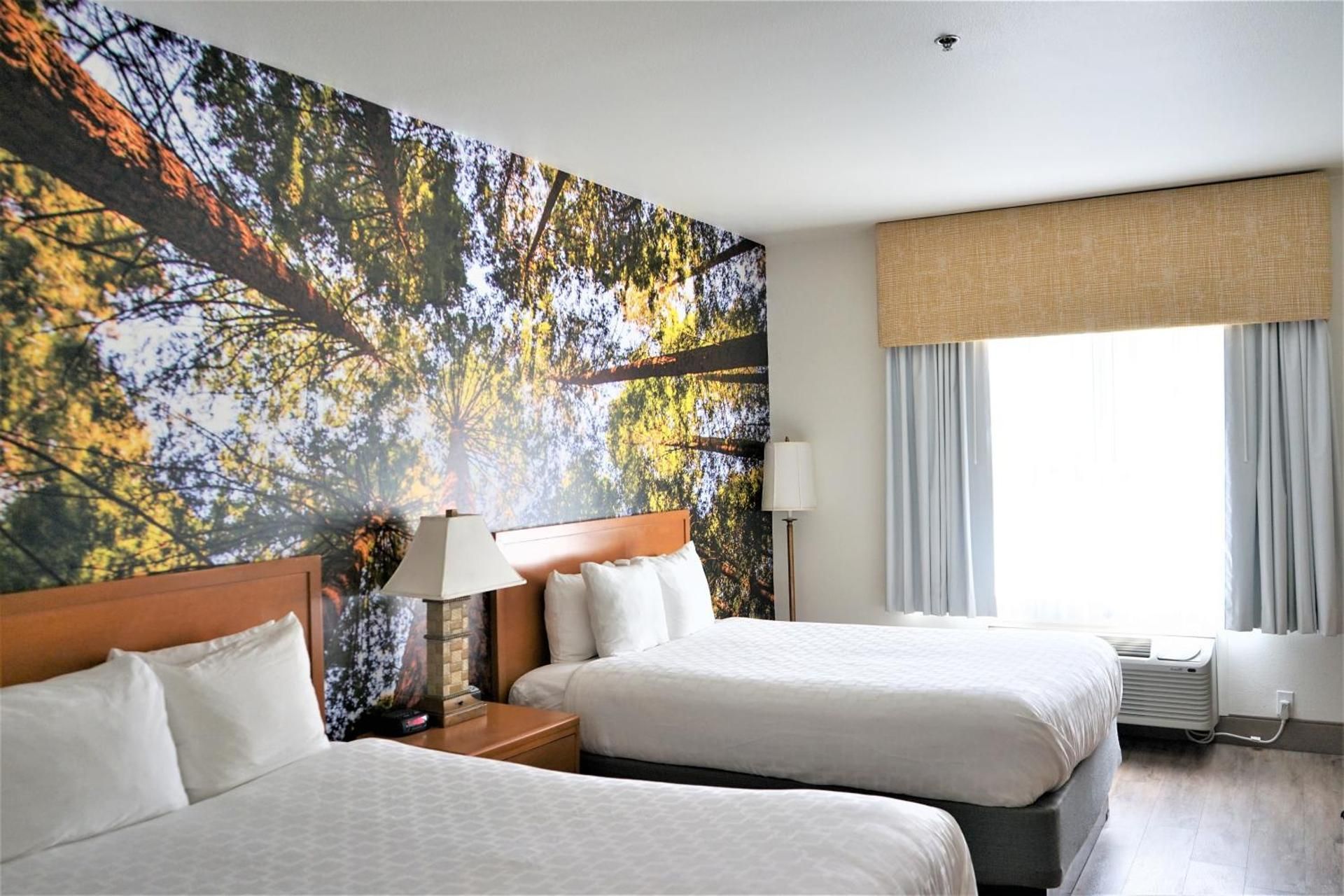 Queen Room with Two Queen Beds - Non Smoking