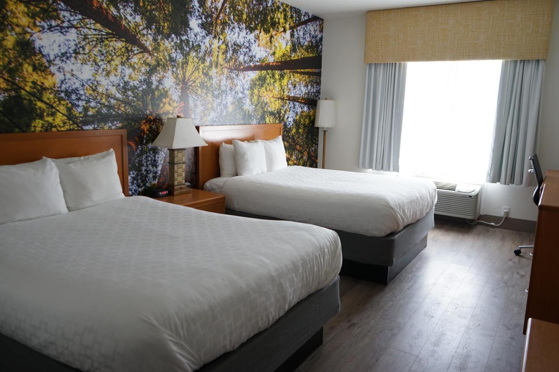 Queen Room with Two Queen Beds - Accessible/Non-Smoking
