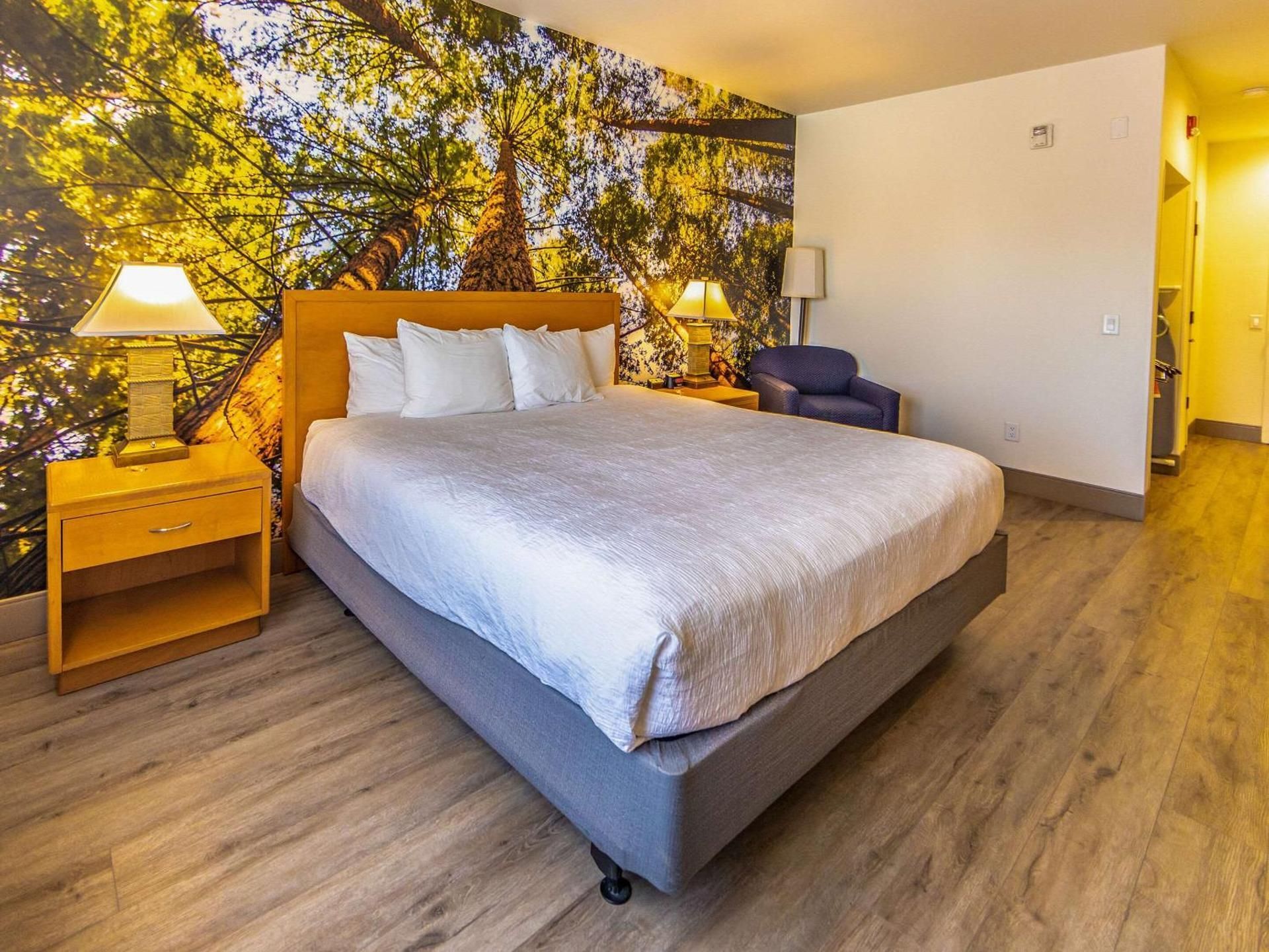King Room - Accessible/Non-Smoking