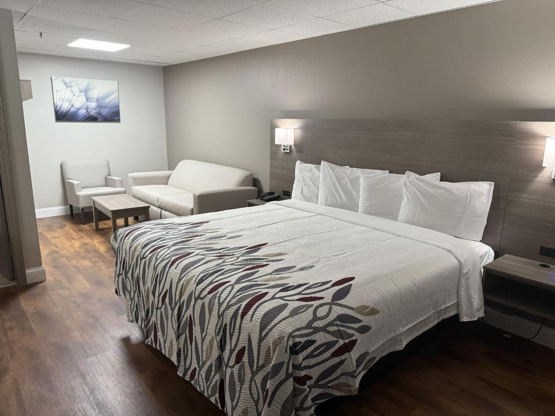 Suite King Room Non-Smoking