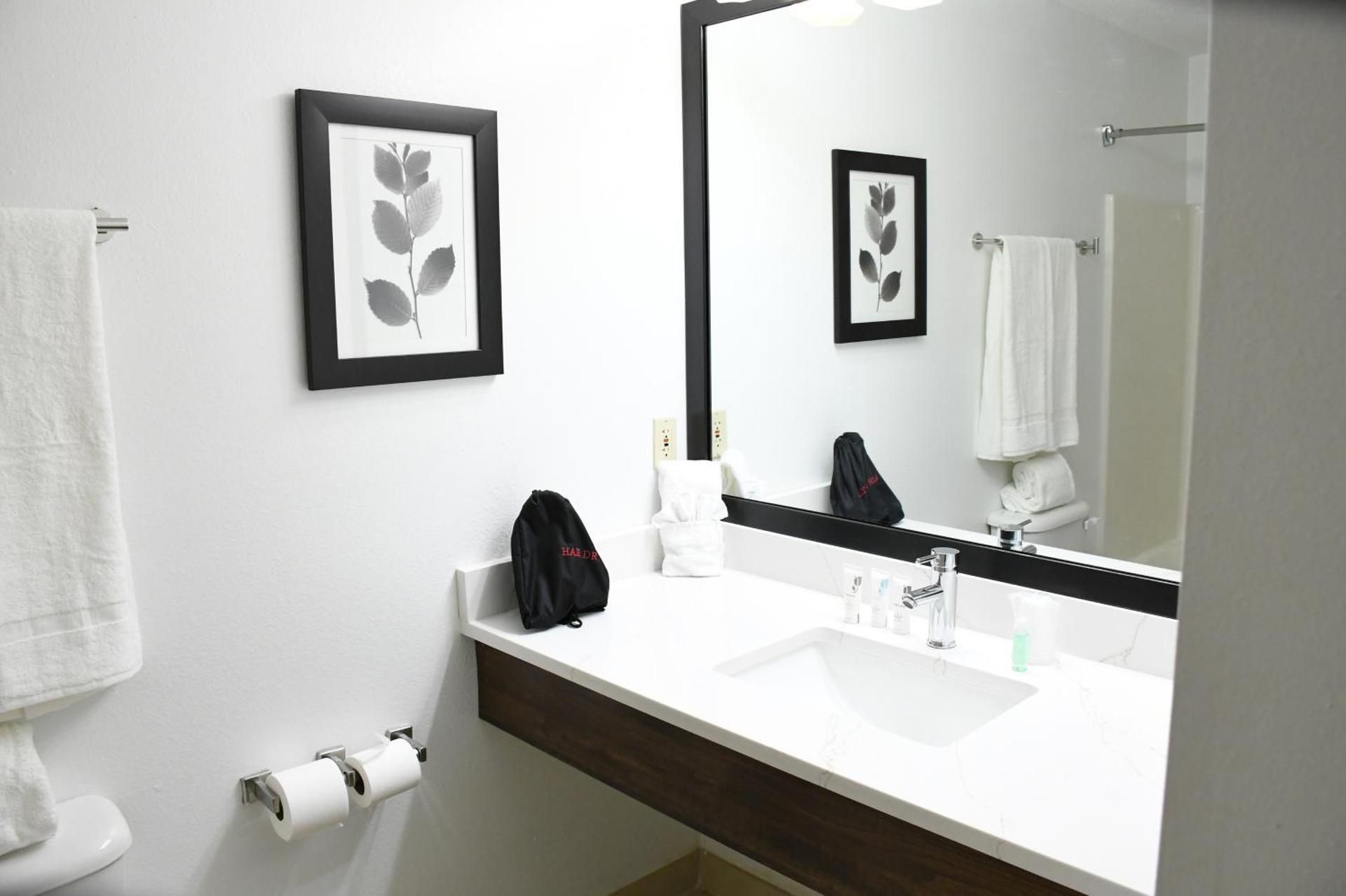 Best Western Harmony Inn Fort Dodge Iowa King Suite with Sofa Bed, Fireplace and Kitchenette - Non-Smoking 3