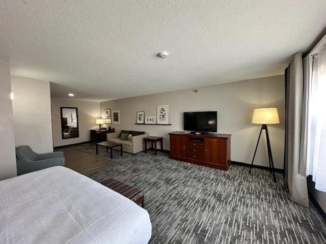 King Suite with Roll-In Shower, Sofa Bed and Kitchenette - Disability/Non-Smoking