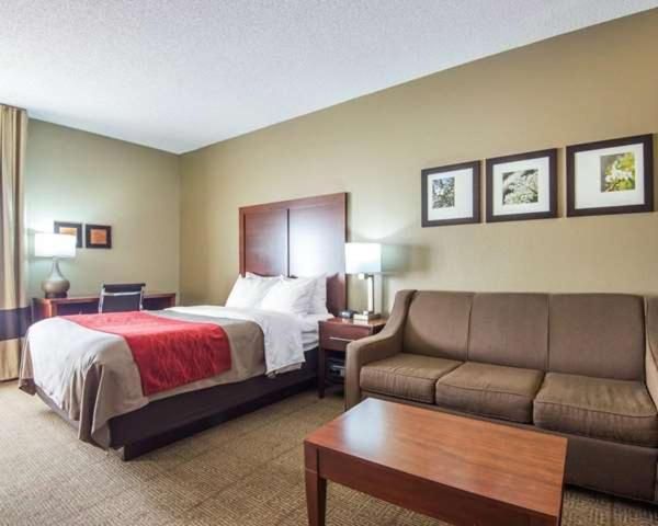 Single Room - Disability Access