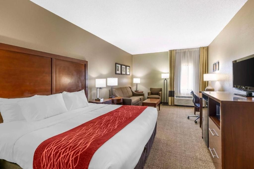 Single Room - Disability Access