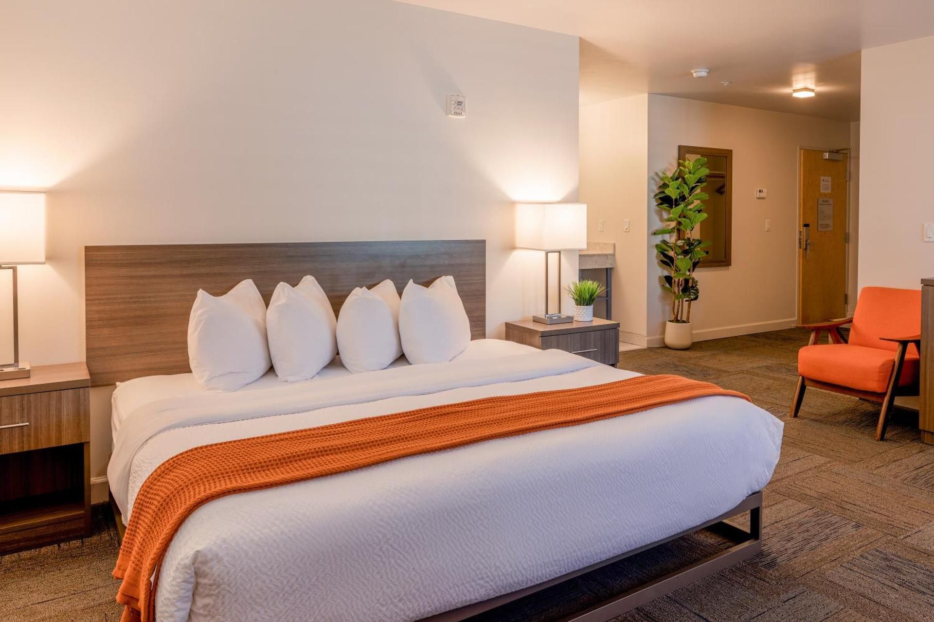 King Room with Roll-In Shower - Disability Access