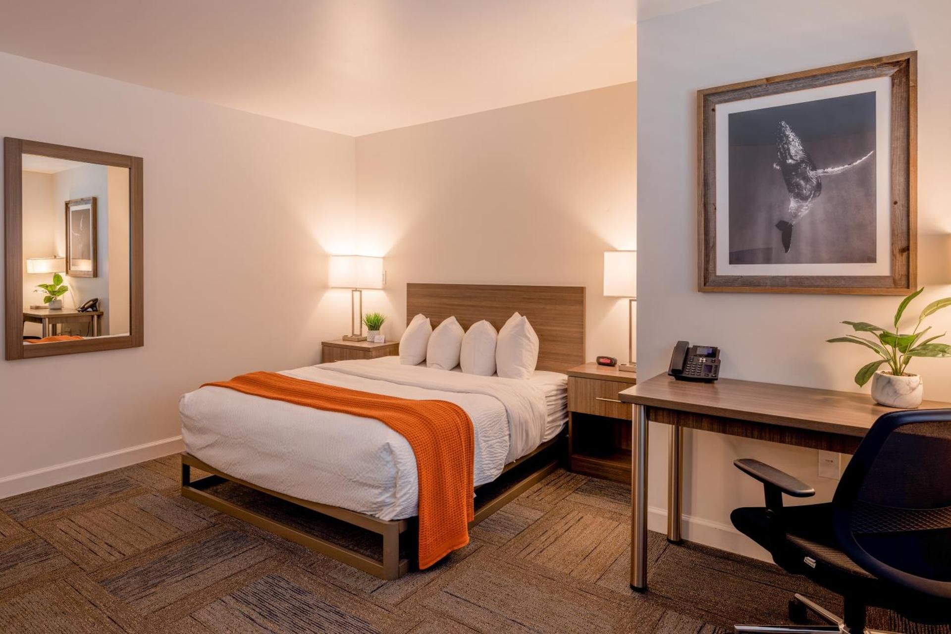 Deluxe Queen Room