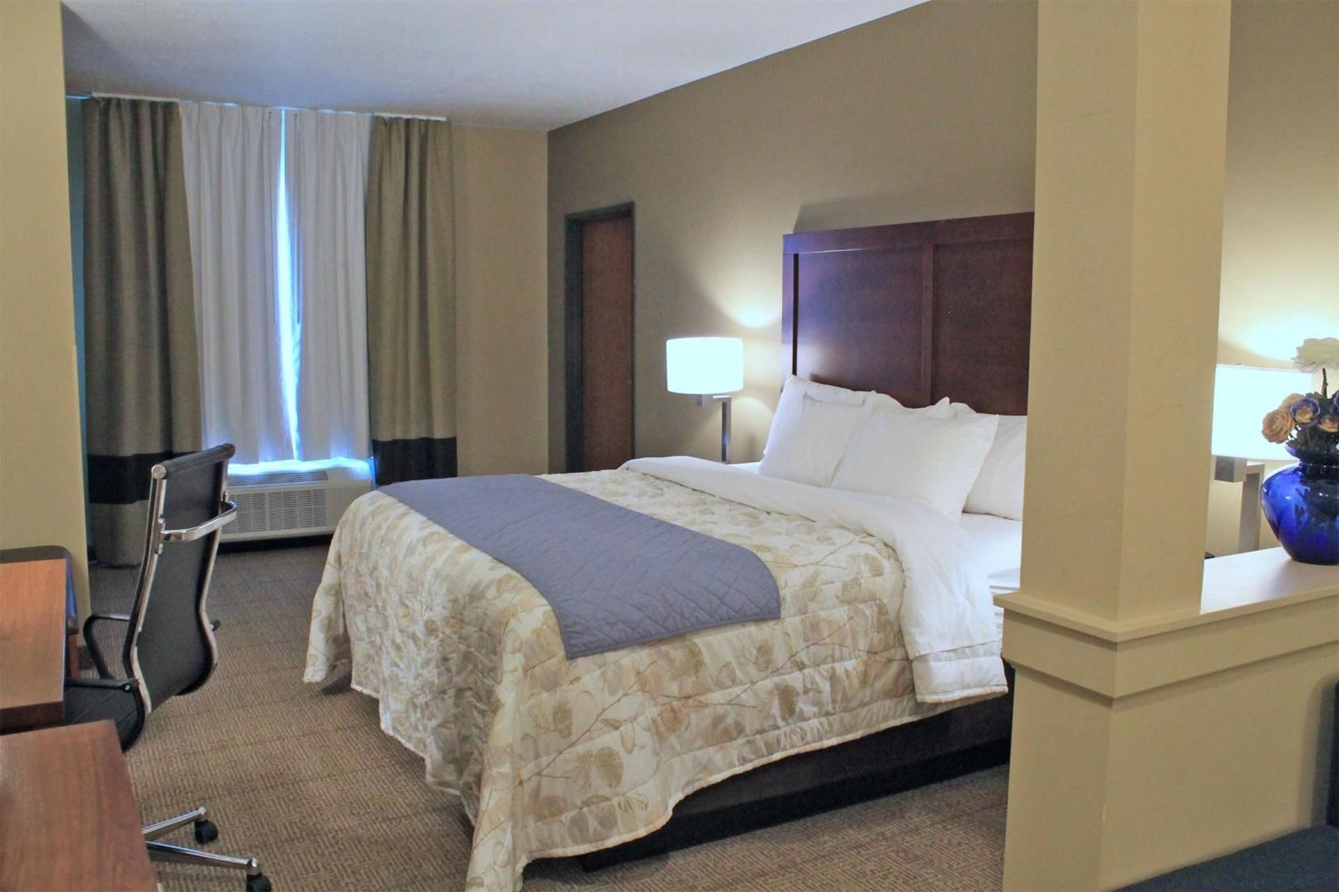 King Suite with Sofa Bed